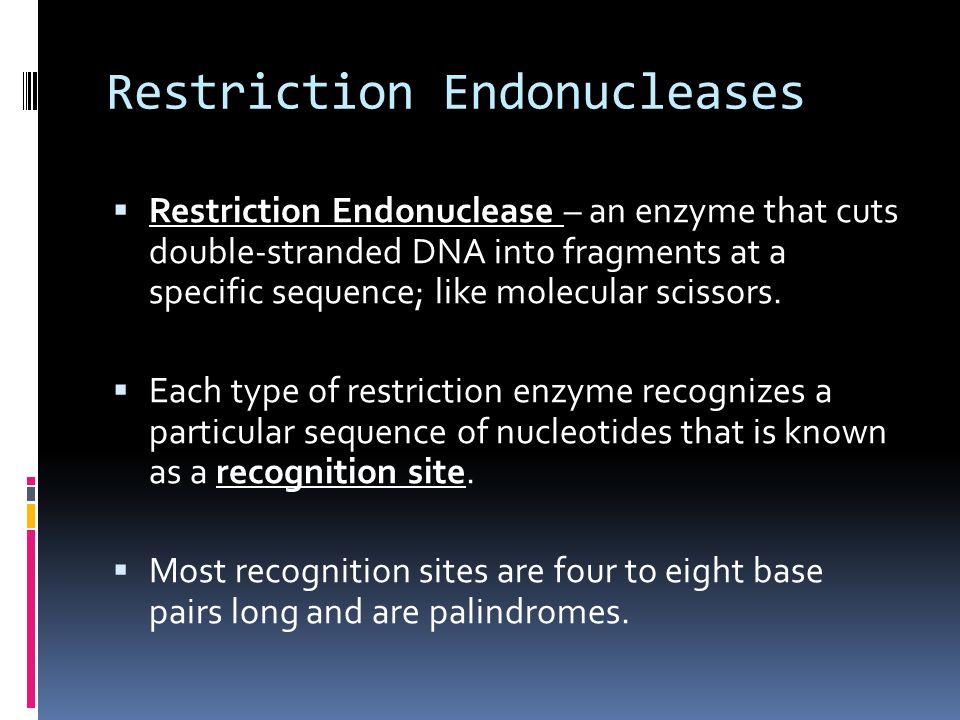 Restriction Endonucleases  Restriction Endonuclease – an enzyme that cuts double-stranded DNA into fragments at a specific sequence; like molecular scissors.