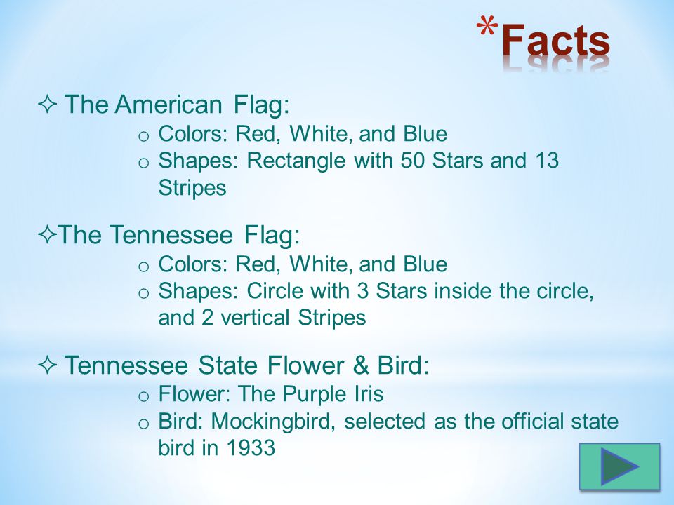  The American Flag: o Colors: Red, White, and Blue o Shapes: Rectangle with 50 Stars and 13 Stripes  The Tennessee Flag: o Colors: Red, White, and Blue o Shapes: Circle with 3 Stars inside the circle, and 2 vertical Stripes  Tennessee State Flower & Bird: o Flower: The Purple Iris o Bird: Mockingbird, selected as the official state bird in 1933