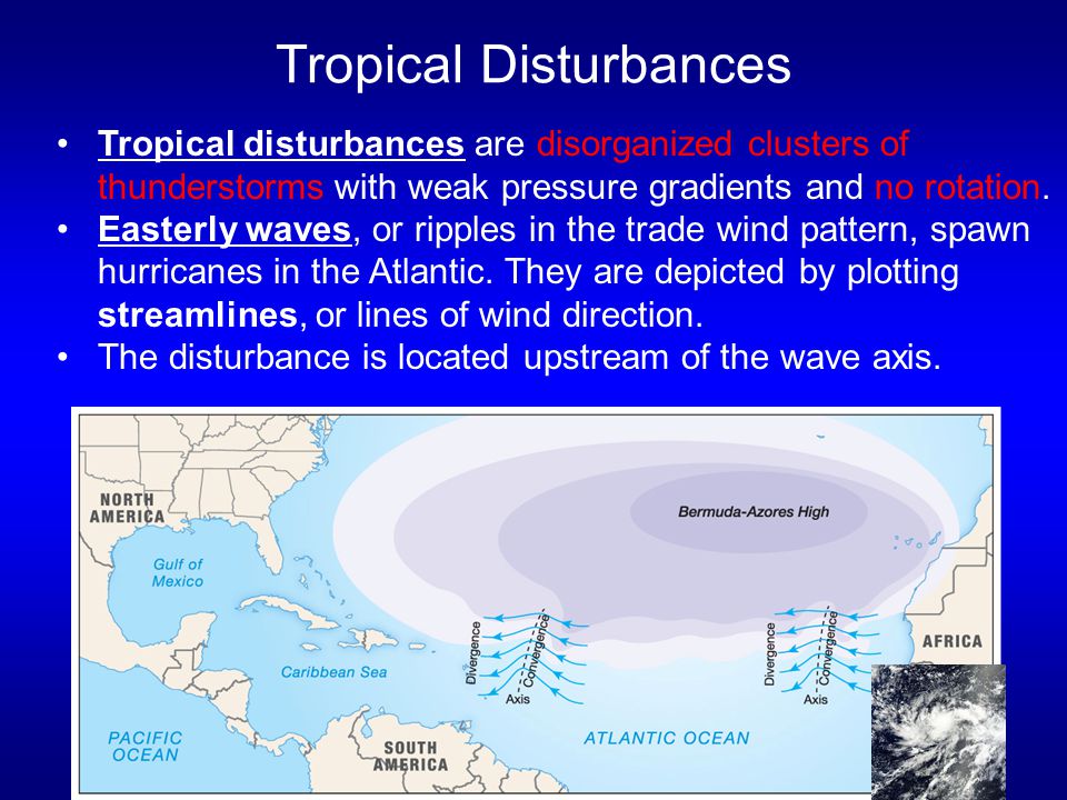 Tropical Disturbances Tropical disturbances are disorganized clusters of thunderstorms with weak pressure gradients and no rotation.