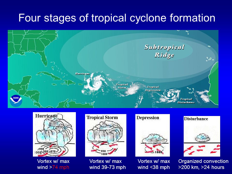 Four stages of tropical cyclone formation Organized convection >200 km, >24 hours Vortex w/ max wind <38 mph Vortex w/ max wind mph Vortex w/ max wind >74 mph