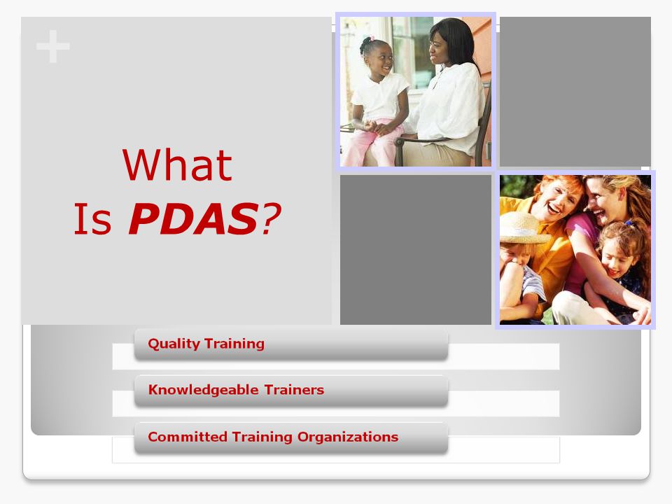 + What Is PDAS