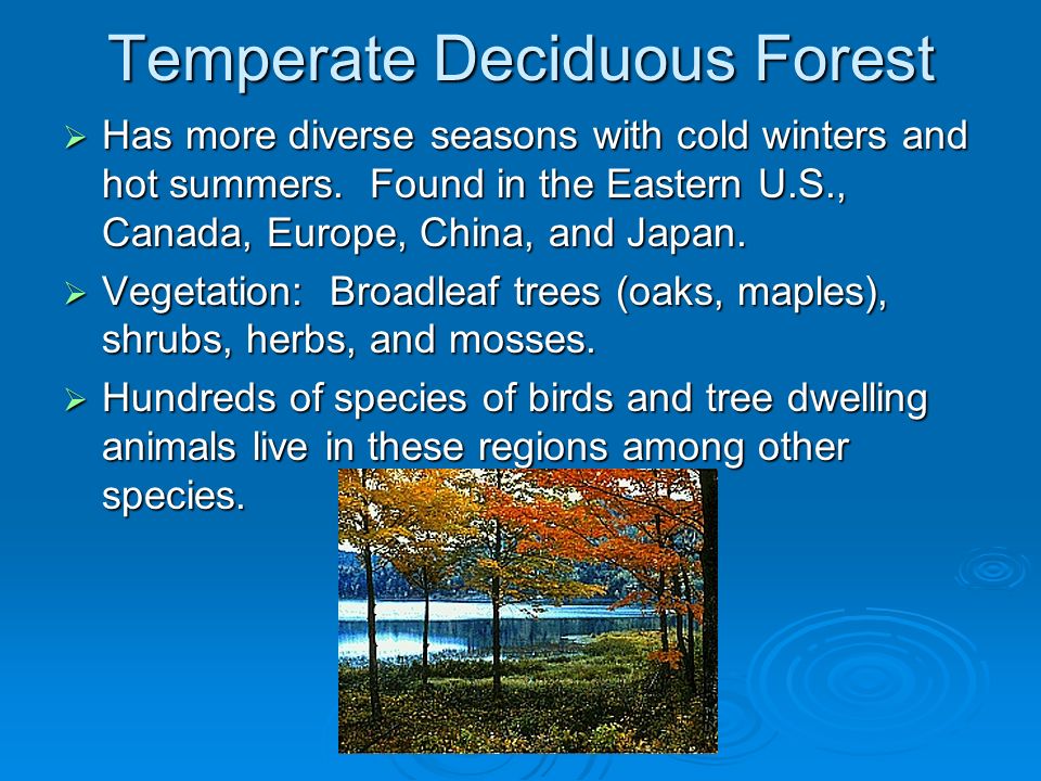 Temperate Deciduous Forest  Has more diverse seasons with cold winters and hot summers.