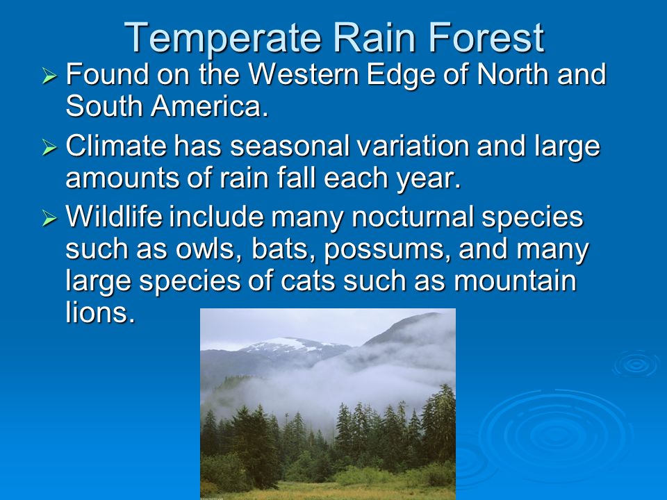 Temperate Rain Forest  Found on the Western Edge of North and South America.