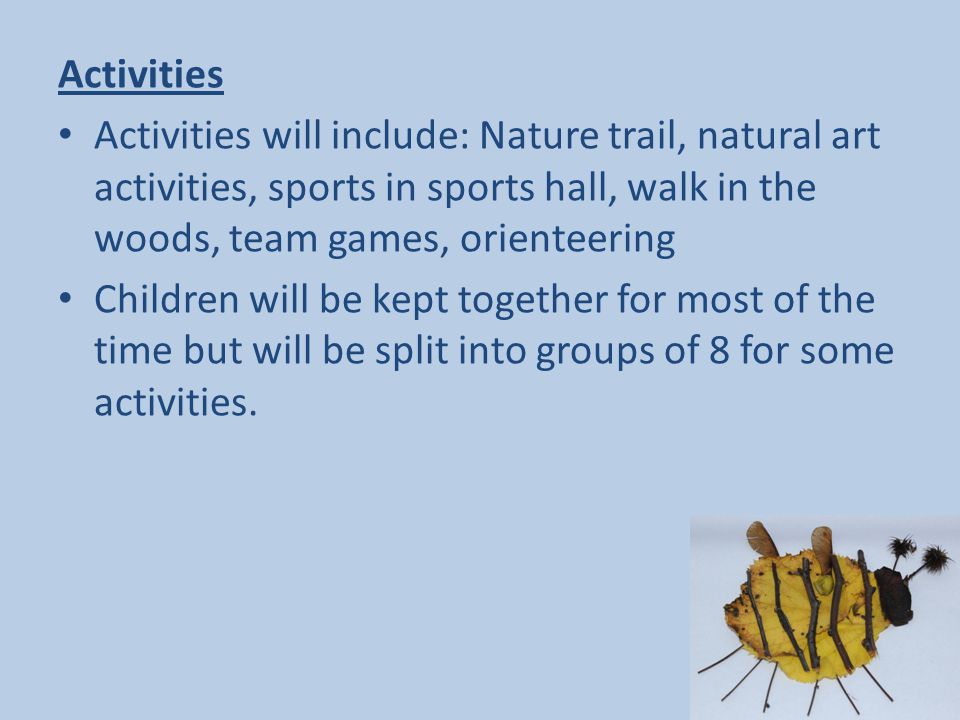 Activities Activities will include: Nature trail, natural art activities, sports in sports hall, walk in the woods, team games, orienteering Children will be kept together for most of the time but will be split into groups of 8 for some activities.