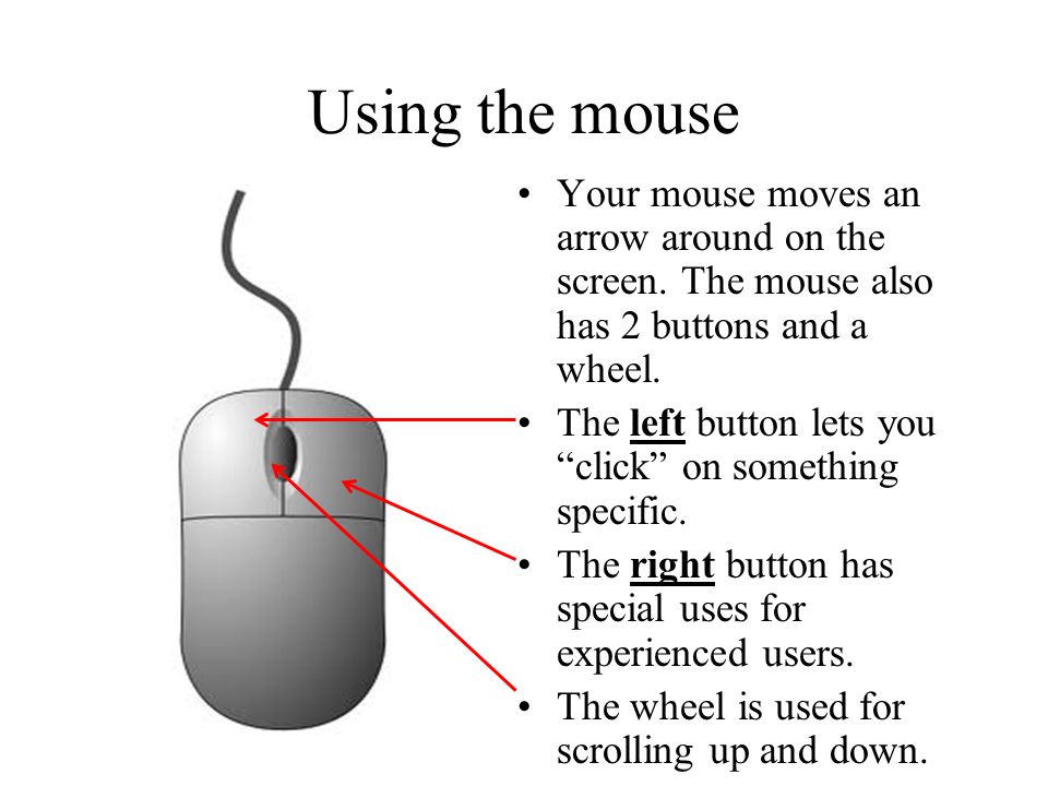 Using the mouse Your mouse moves an arrow around on the screen.