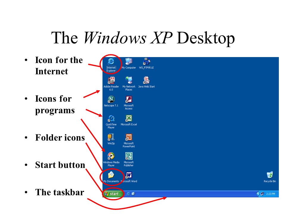 The Windows XP Desktop Icon for the Internet Icons for programs Folder icons Start button The taskbar