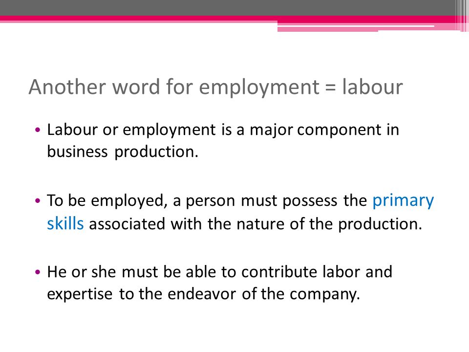 another word for employment