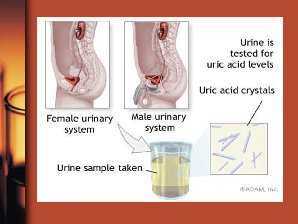 Cialis Urine Flow