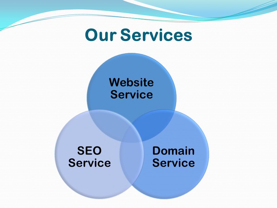 Our Services Website Service Domain Service SEO Service