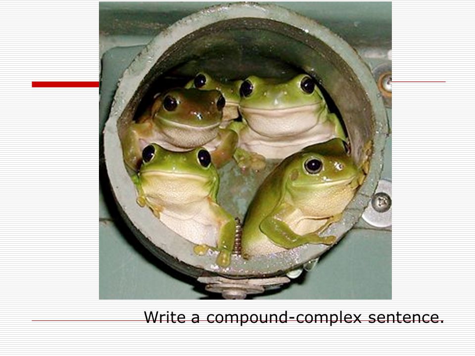 Write a compound-complex sentence.