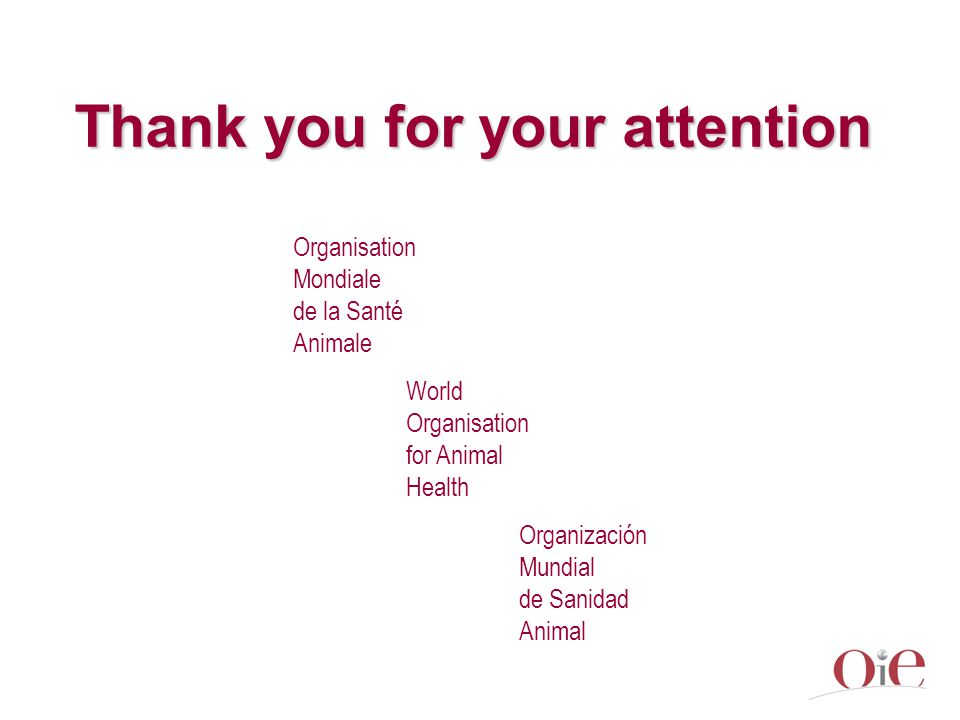 Thank you for your attention Organisation Mondiale de la Santé Animale World Organisation for Animal Health Organización Mundial de Sanidad Animal