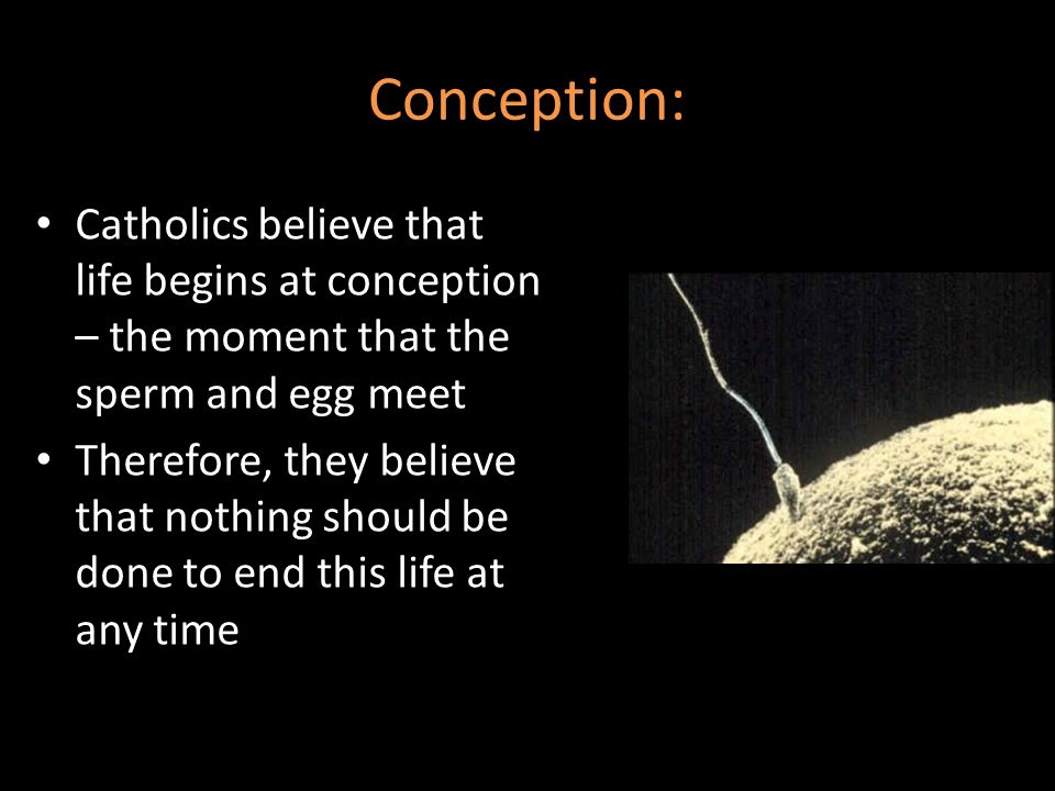Art penetration of surface Conception sperm life