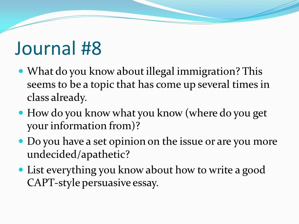 Immigration Essay Outline