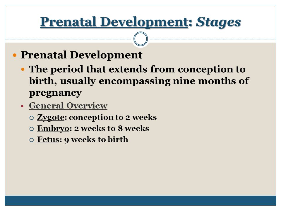 unit 2 development from conception to 130 unit ii child concepts and application development that proceeds from the center of the body out- prenatal period—includes the time from conception to. unit 2 development from conception to 130 unit ii child concepts and application development that proceeds from the center of the body out- prenatal period—includes the time from conception to.