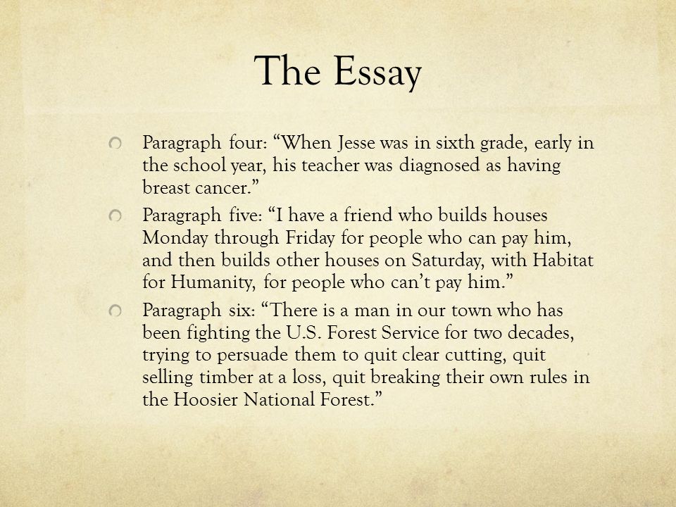 otmh sunset cinema college essay writing service reviews breast cancer essays