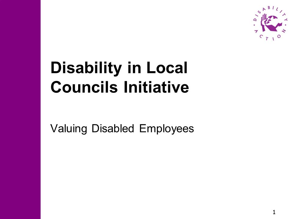 1 Disability in Local Councils Initiative Valuing Disabled Employees
