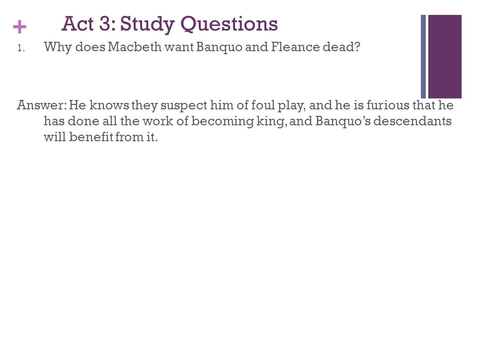 Critical Analysis Essay Macbeth