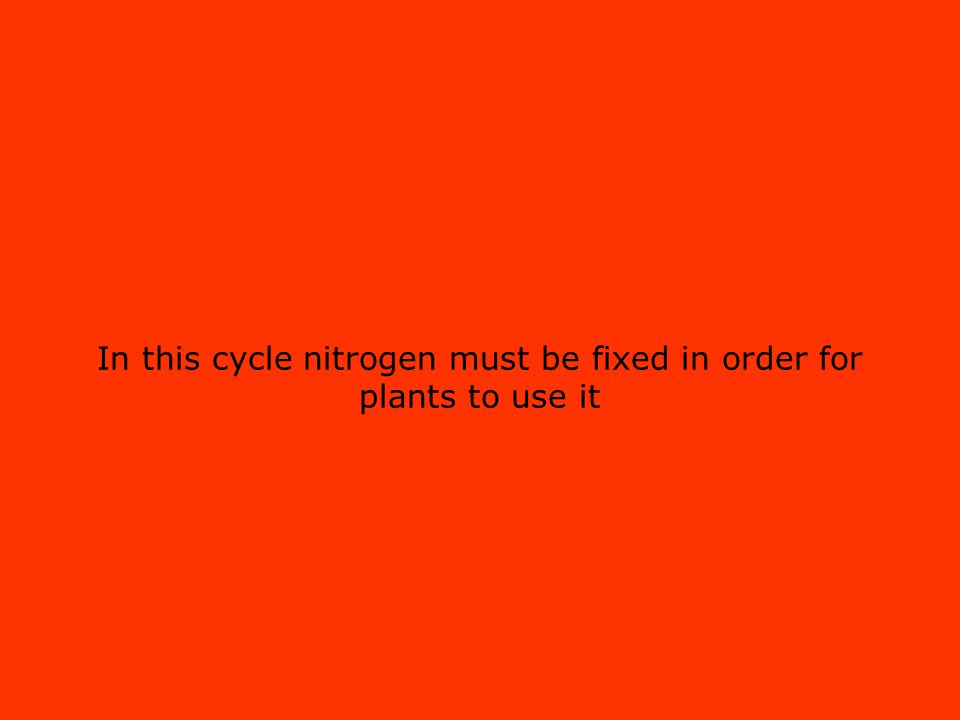 In this cycle nitrogen must be fixed in order for plants to use it