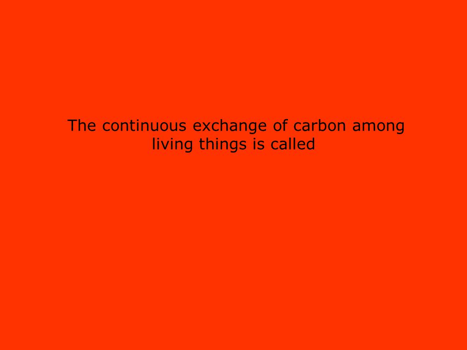 The continuous exchange of carbon among living things is called