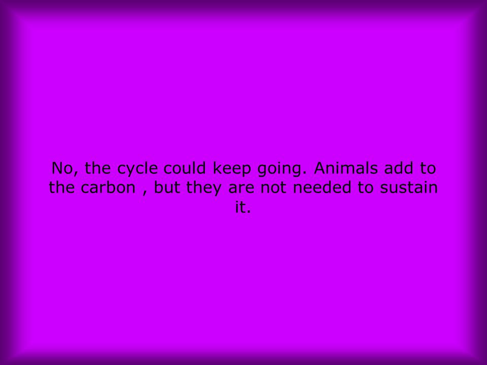 No, the cycle could keep going. Animals add to the carbon, but they are not needed to sustain it.