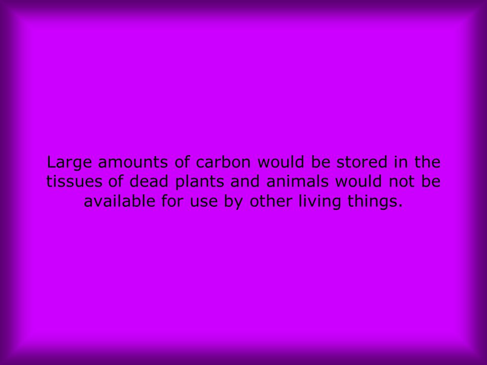 Large amounts of carbon would be stored in the tissues of dead plants and animals would not be available for use by other living things.