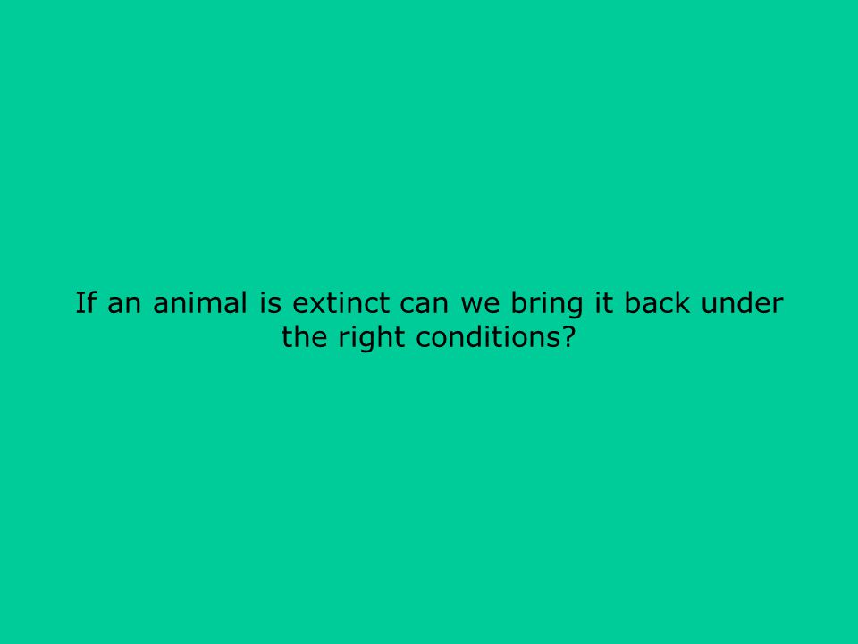 If an animal is extinct can we bring it back under the right conditions