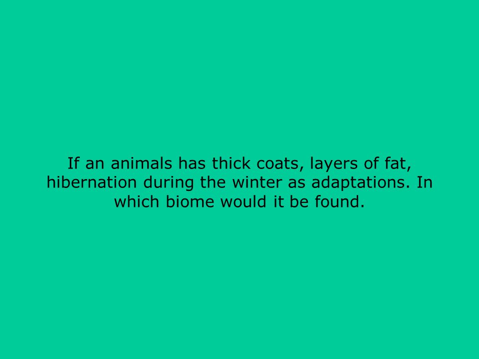 If an animals has thick coats, layers of fat, hibernation during the winter as adaptations.