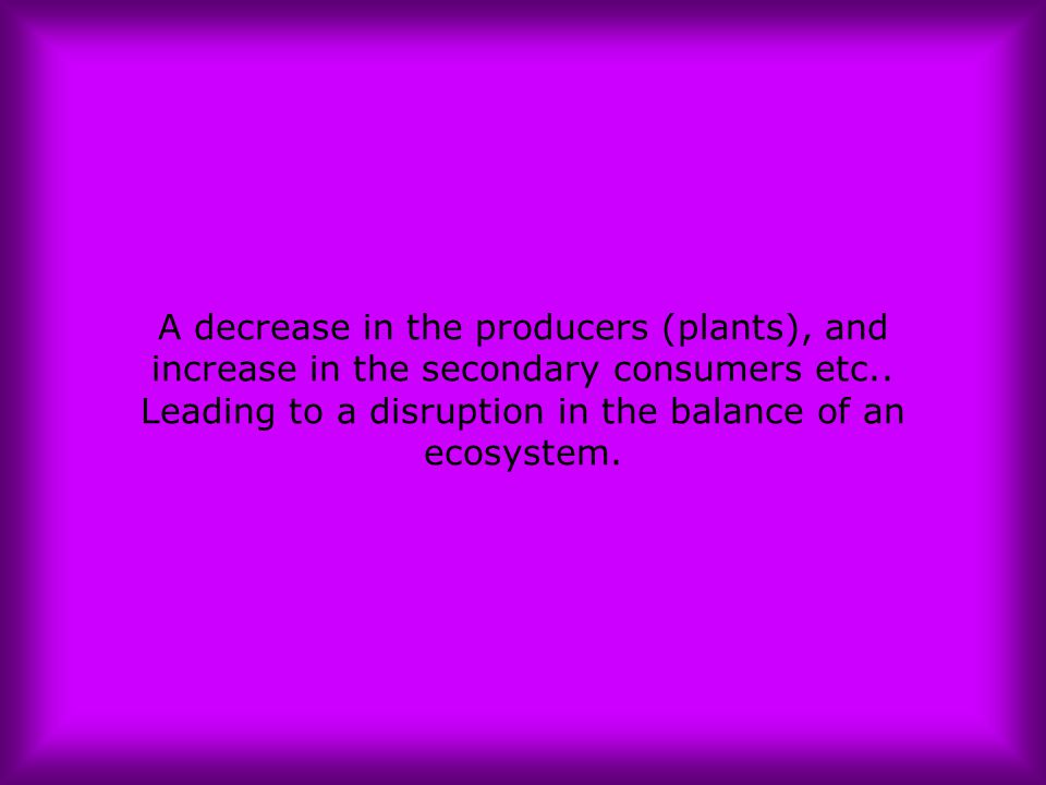 A decrease in the producers (plants), and increase in the secondary consumers etc..