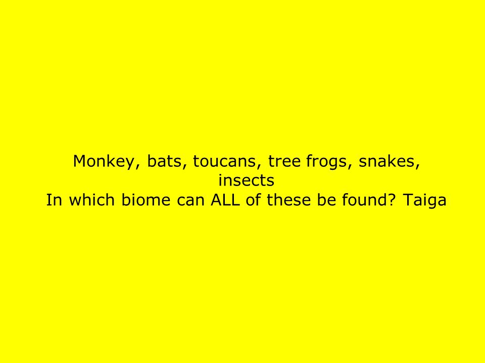 Monkey, bats, toucans, tree frogs, snakes, insects In which biome can ALL of these be found Taiga