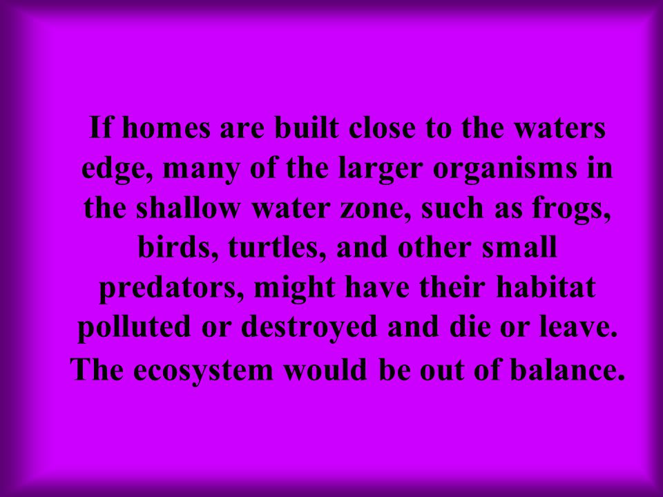 If homes are built close to the waters edge, many of the larger organisms in the shallow water zone, such as frogs, birds, turtles, and other small predators, might have their habitat polluted or destroyed and die or leave.