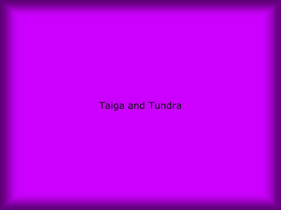 Taiga and Tundra