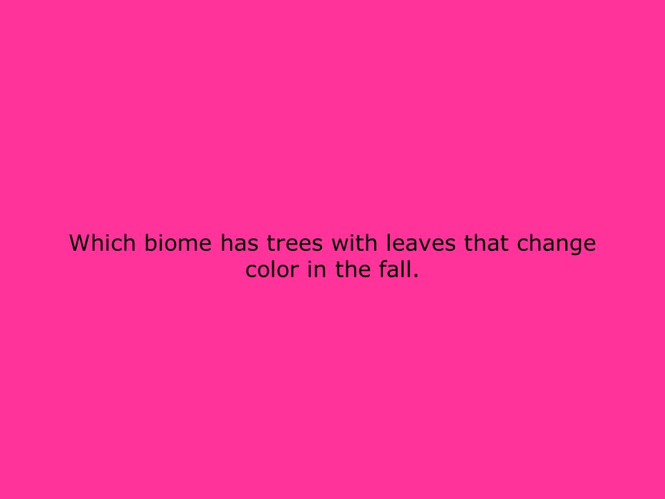 Which biome has trees with leaves that change color in the fall.