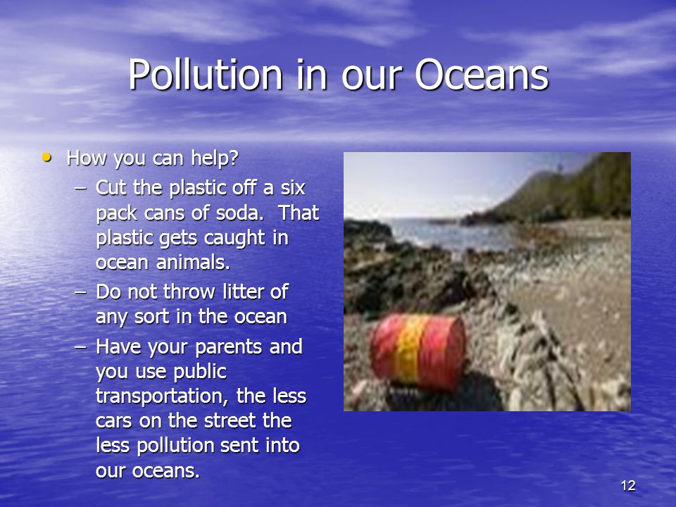 12 Pollution in our Oceans How you can help. How you can help.