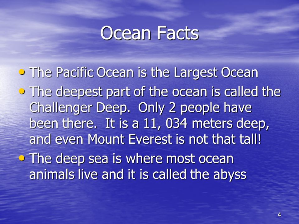 4 Ocean Facts The Pacific Ocean is the Largest Ocean The Pacific Ocean is the Largest Ocean The deepest part of the ocean is called the Challenger Deep.