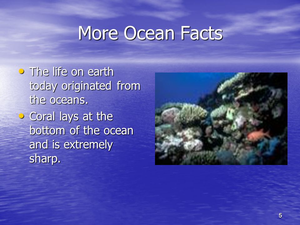 5 More Ocean Facts The life on earth today originated from the oceans.