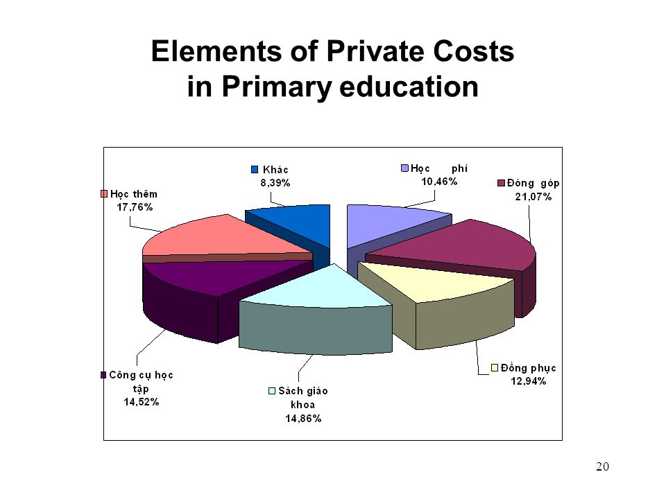 20 Elements of Private Costs in Primary education