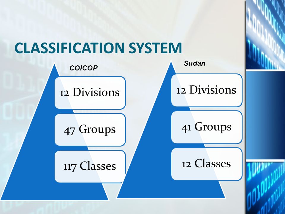 CLASSIFICATION SYSTEM 12 Divisions47 Groups117 Classes12 Divisions41 Groups12 Classes COICOP Sudan