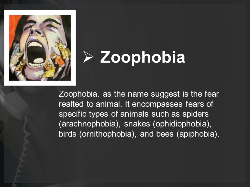  Zoophobia Zoophobia, as the name suggest is the fear realted to animal.