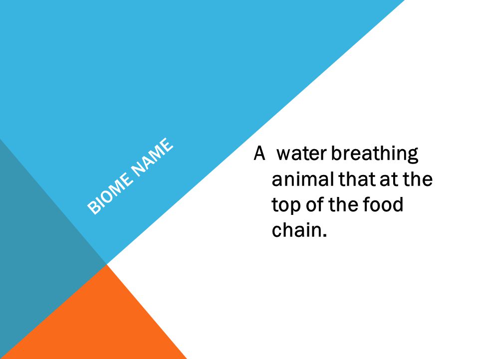 BIOME NAME A water breathing animal that at the top of the food chain.