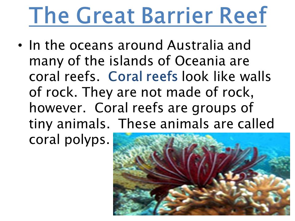 The Great Barrier Reef In the oceans around Australia and many of the islands of Oceania are coral reefs.