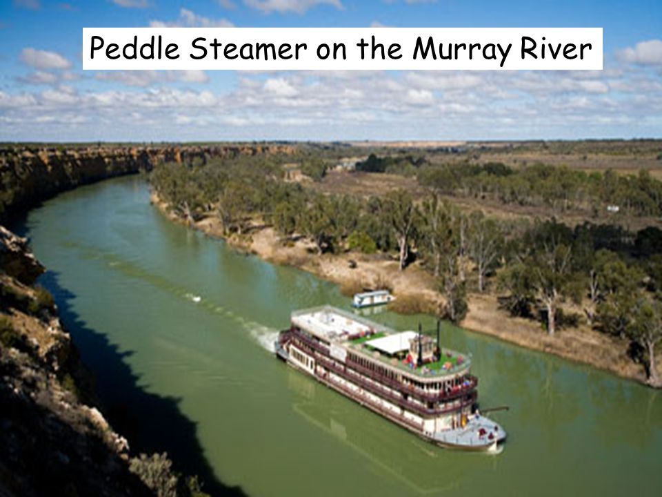 Peddle Steamer on the Murray River