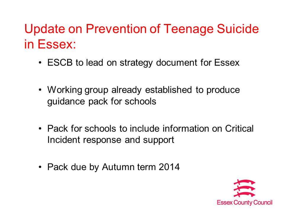 Update on Prevention of Teenage Suicide in Essex: ESCB to lead on strategy document for Essex Working group already established to produce guidance pack for schools Pack for schools to include information on Critical Incident response and support Pack due by Autumn term 2014
