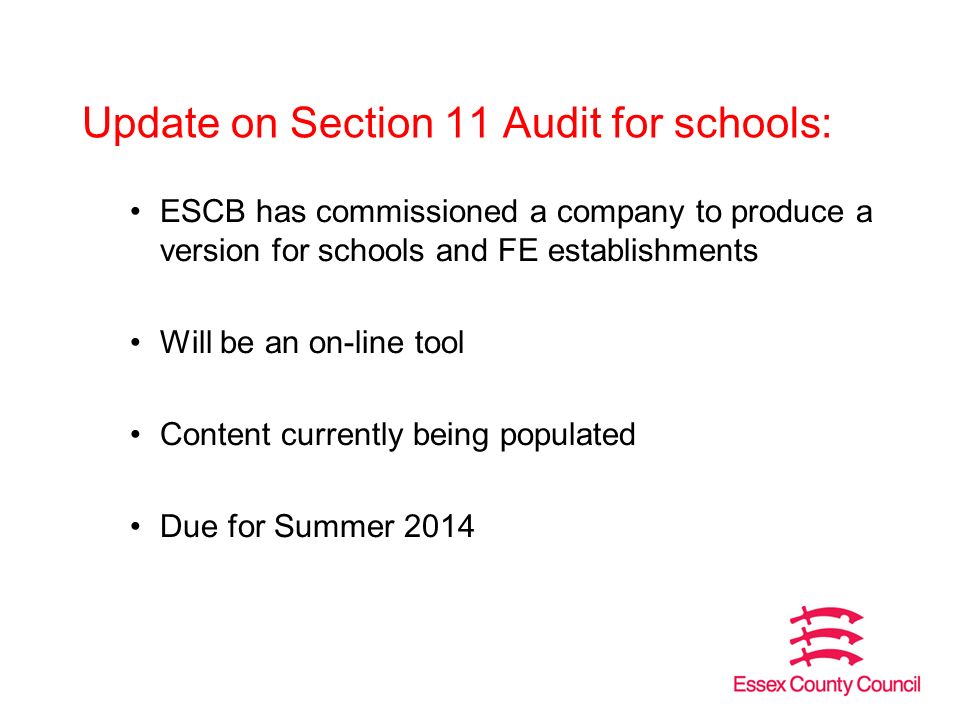 Update on Section 11 Audit for schools: ESCB has commissioned a company to produce a version for schools and FE establishments Will be an on-line tool Content currently being populated Due for Summer 2014