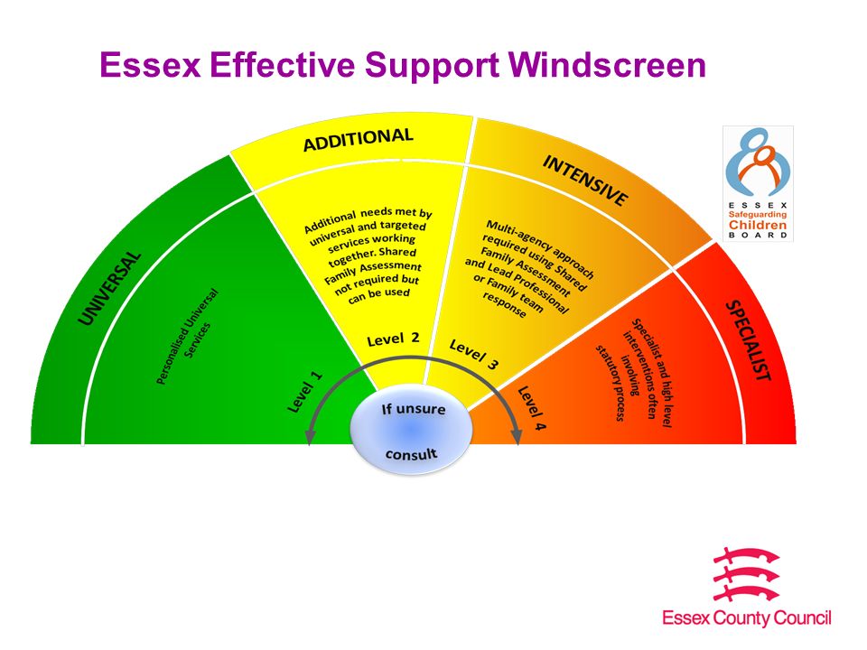 Essex Effective Support Windscreen