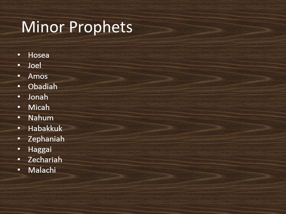 Minor Prophets Hosea Joel Amos Obadiah Jonah Micah Nahum Habakkuk Zephaniah Haggai Zechariah Malachi