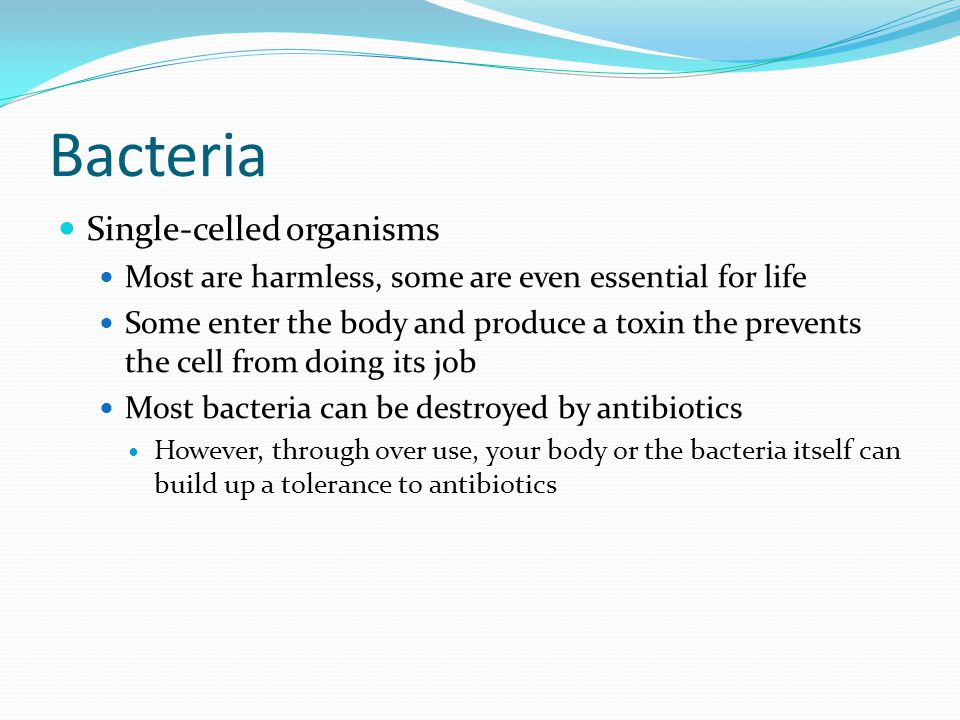 Bacteria Single-celled organisms Most are harmless, some are even essential for life Some enter the body and produce a toxin the prevents the cell from doing its job Most bacteria can be destroyed by antibiotics However, through over use, your body or the bacteria itself can build up a tolerance to antibiotics