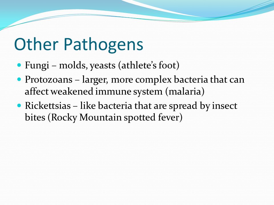 Other Pathogens Fungi – molds, yeasts (athlete’s foot) Protozoans – larger, more complex bacteria that can affect weakened immune system (malaria) Rickettsias – like bacteria that are spread by insect bites (Rocky Mountain spotted fever)