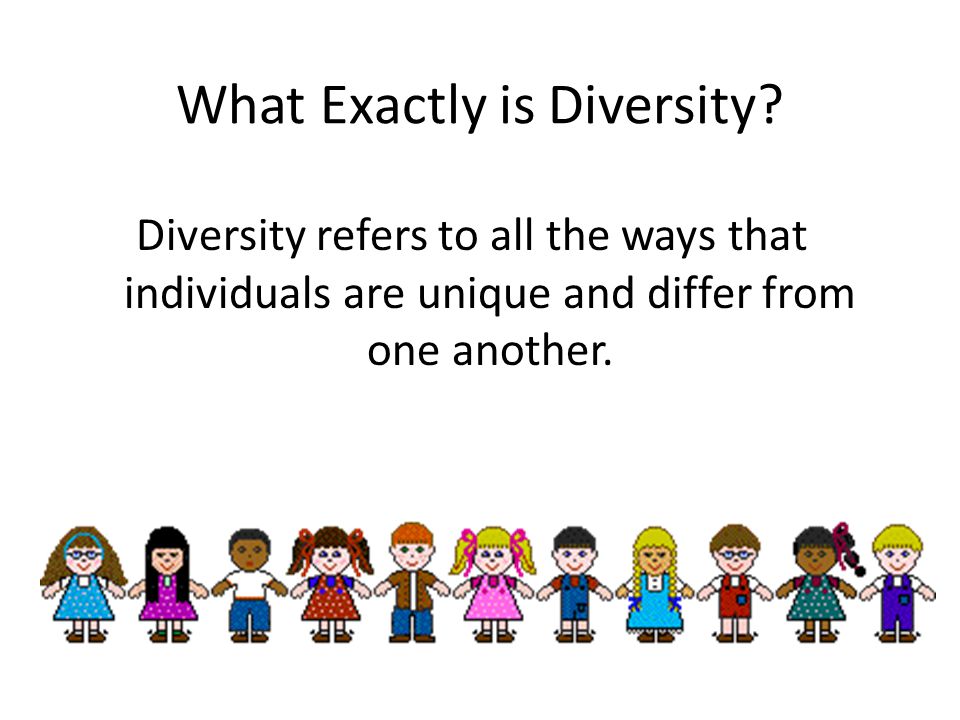 What Exactly is Diversity.