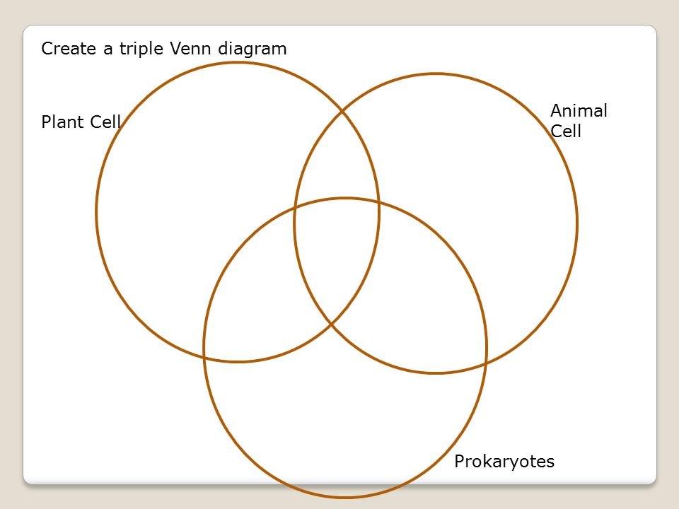 palnts and animals venn diagram free wiring diagram for you plants and animals venn diagram kindergarten