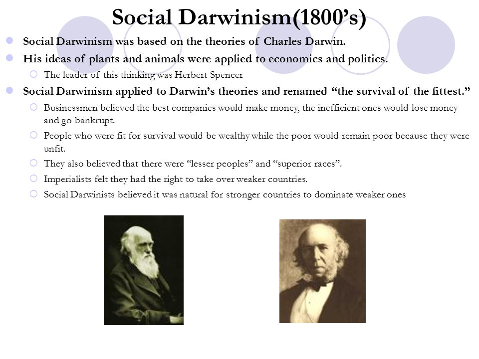 essays on social darwinism essays on social darwinism
